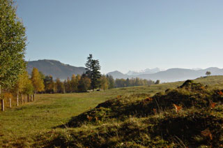  Foto Moor Zugerberg (c)by Vera Eggermann, Luzern